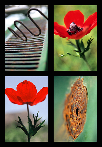 Kreta, Griechenland 2005.